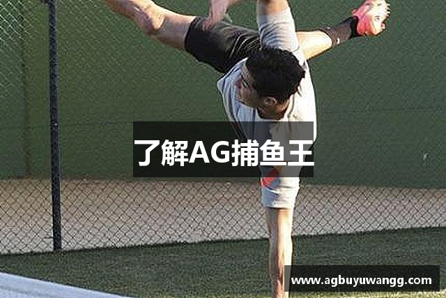 了解AG捕鱼王